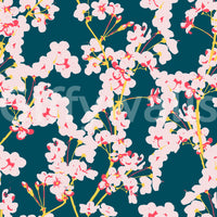 Midnight Cherry Blossom Trails Wallpaper⁠