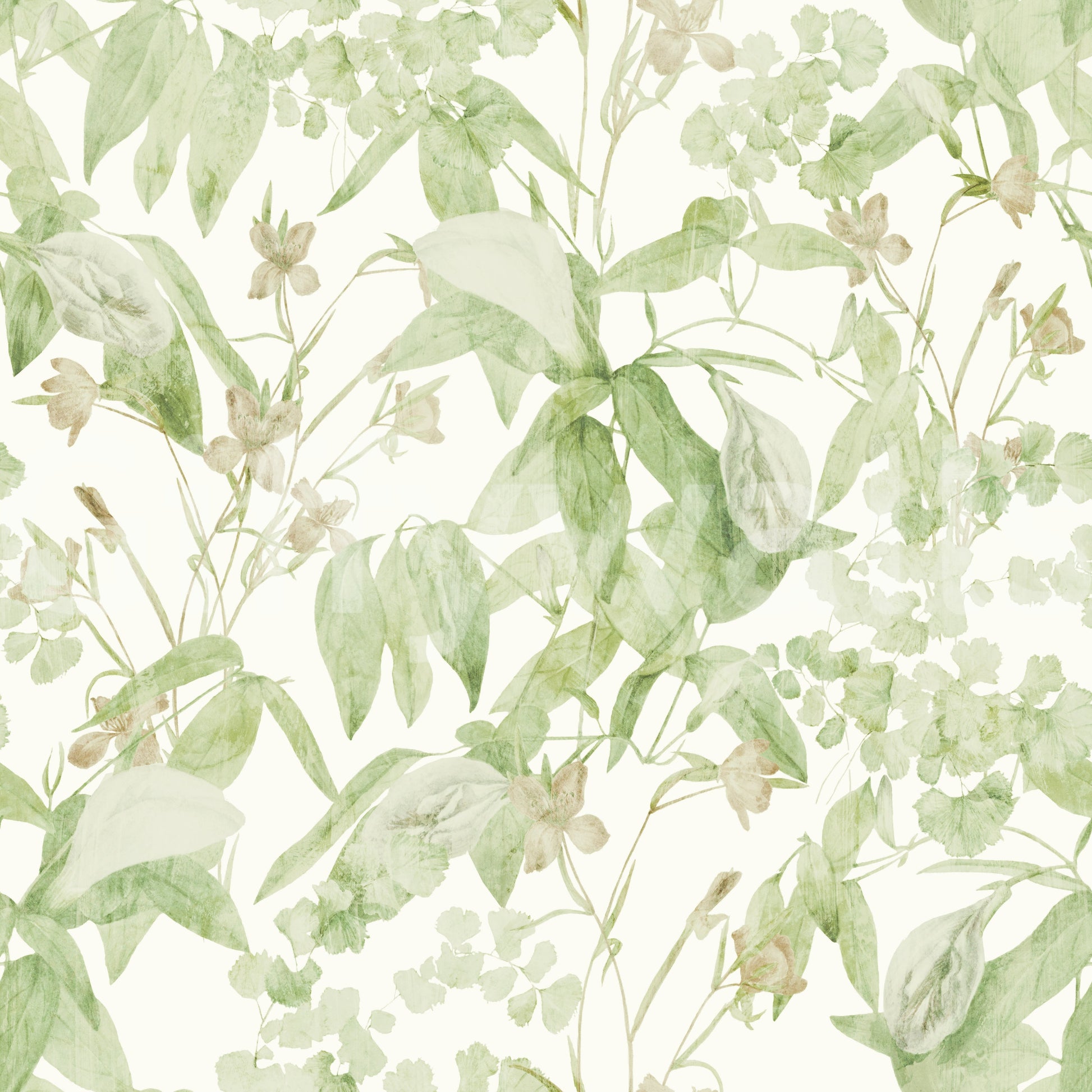 Verdant Meadow Botanical Illustration Wallpaper⁠
