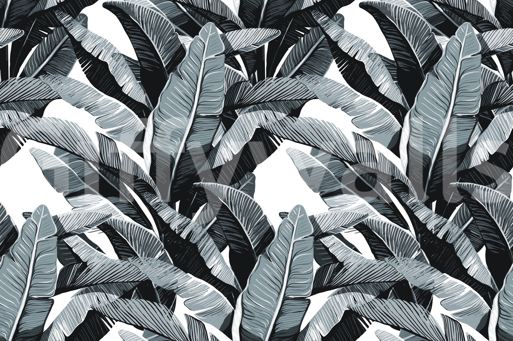 Monochrome Tropical Palm Fronds Wallpaper⁠