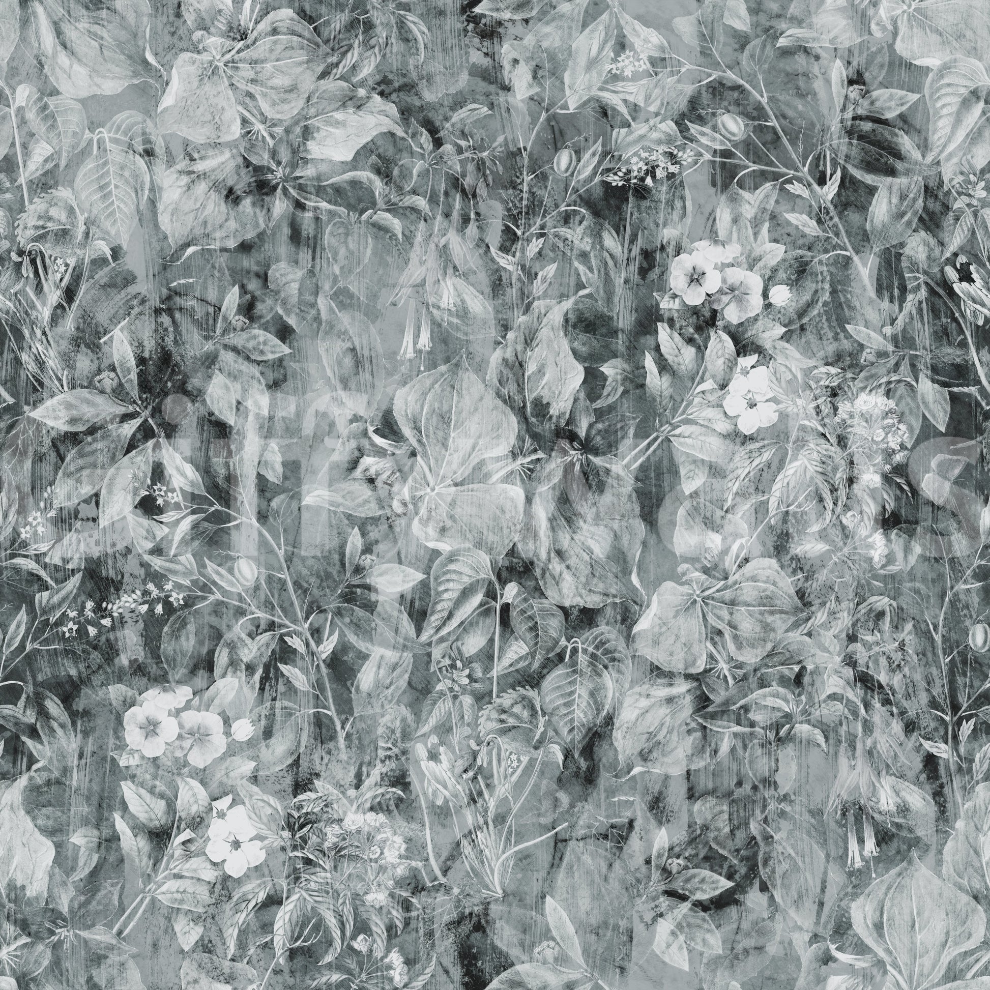 Monochrome Botanical Shadow Wallpaper⁠