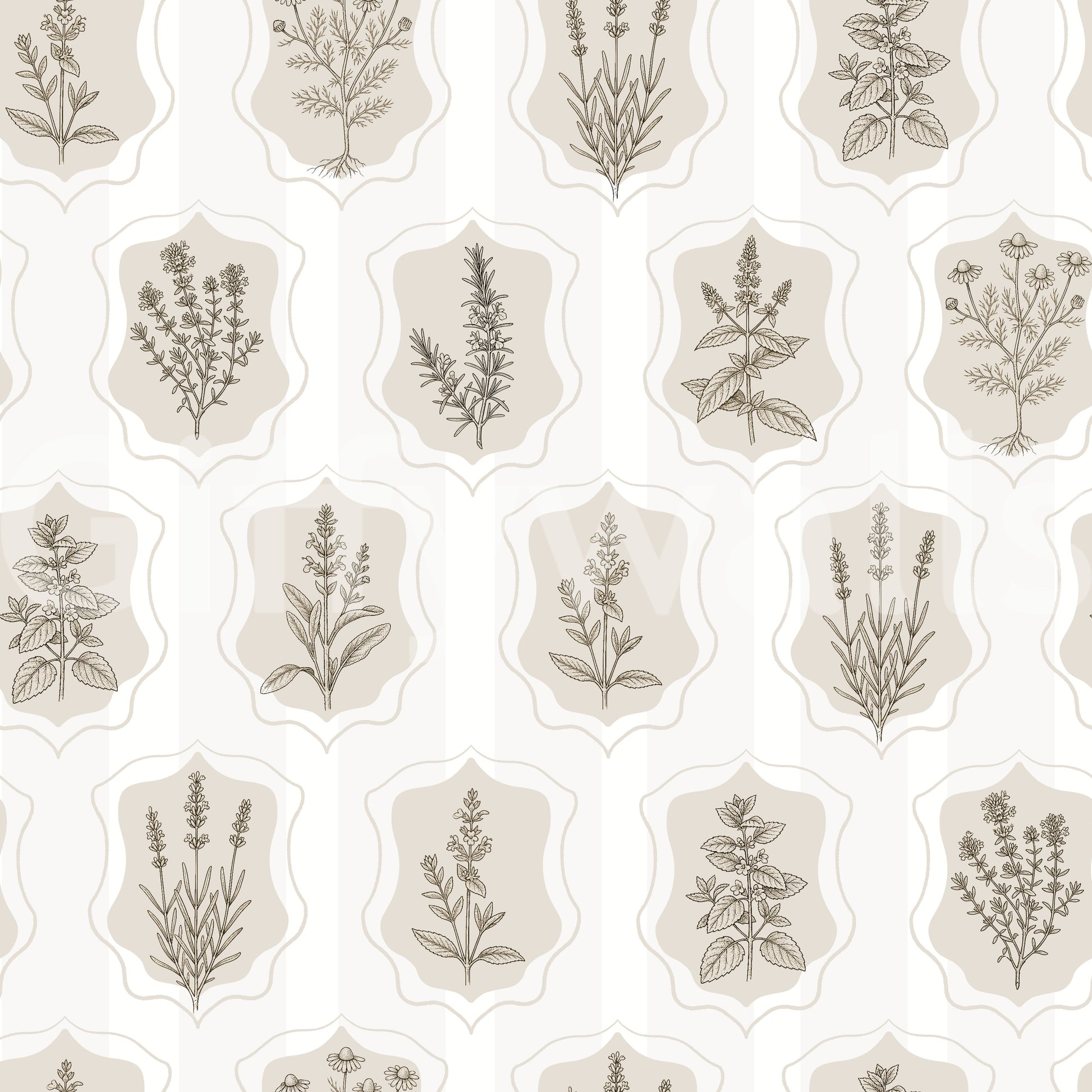 Vintage Botanical Herb Garden Sketch Wallpaper⁠