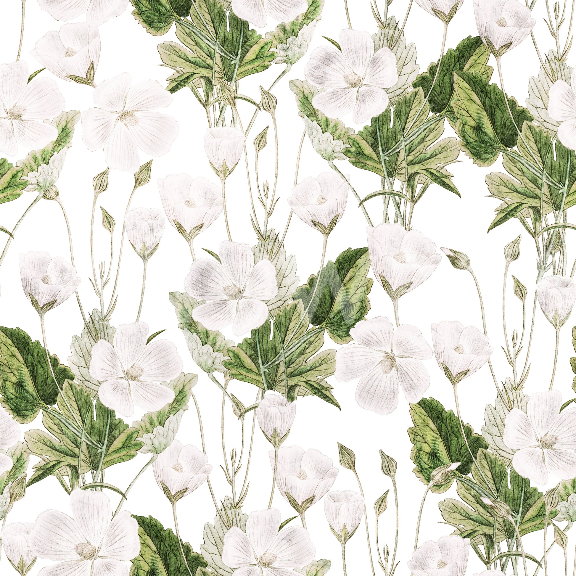 Botanical Meadow Sketch Wallpaper⁠
