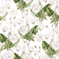 Botanical Meadow Sketch Wallpaper⁠