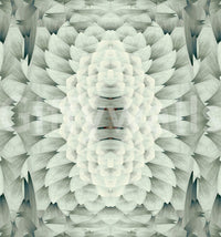 Monochromatic Sculptural Geometric Flower - GARDENIA Wall Mural