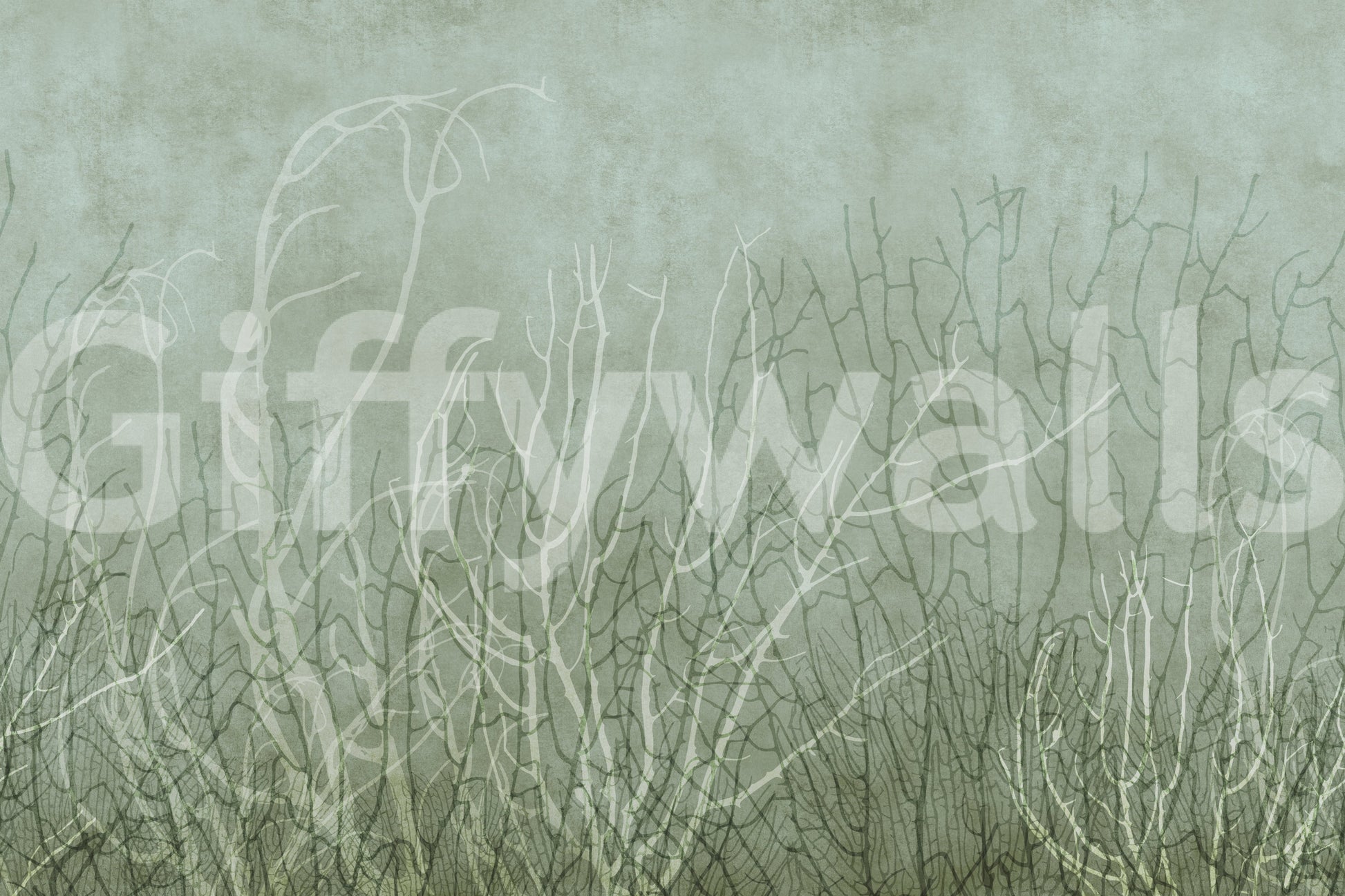 Sea Fans - Pool Wall Mural
