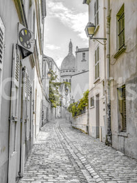 Montmartre Cobbled Parisian Alleyway Wall Mural