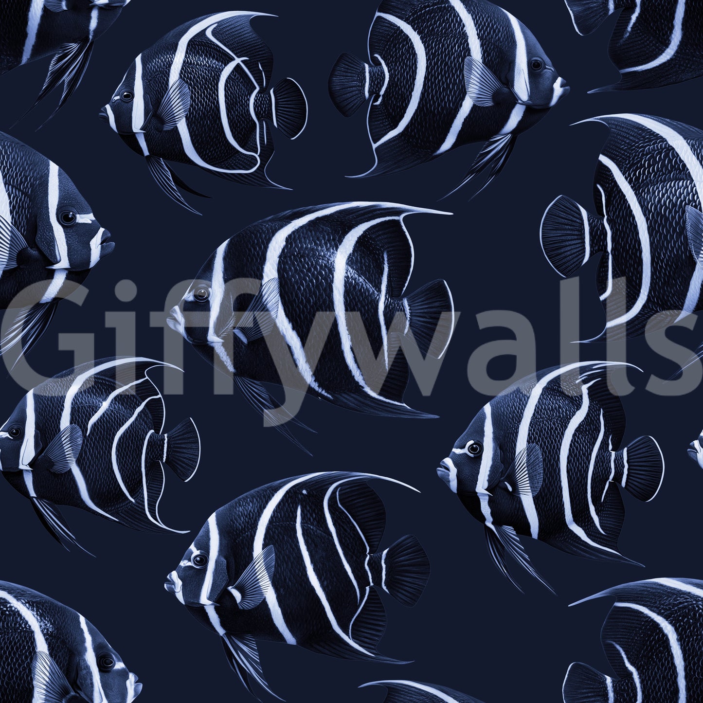 Angel The Fish Wallpaper⁠