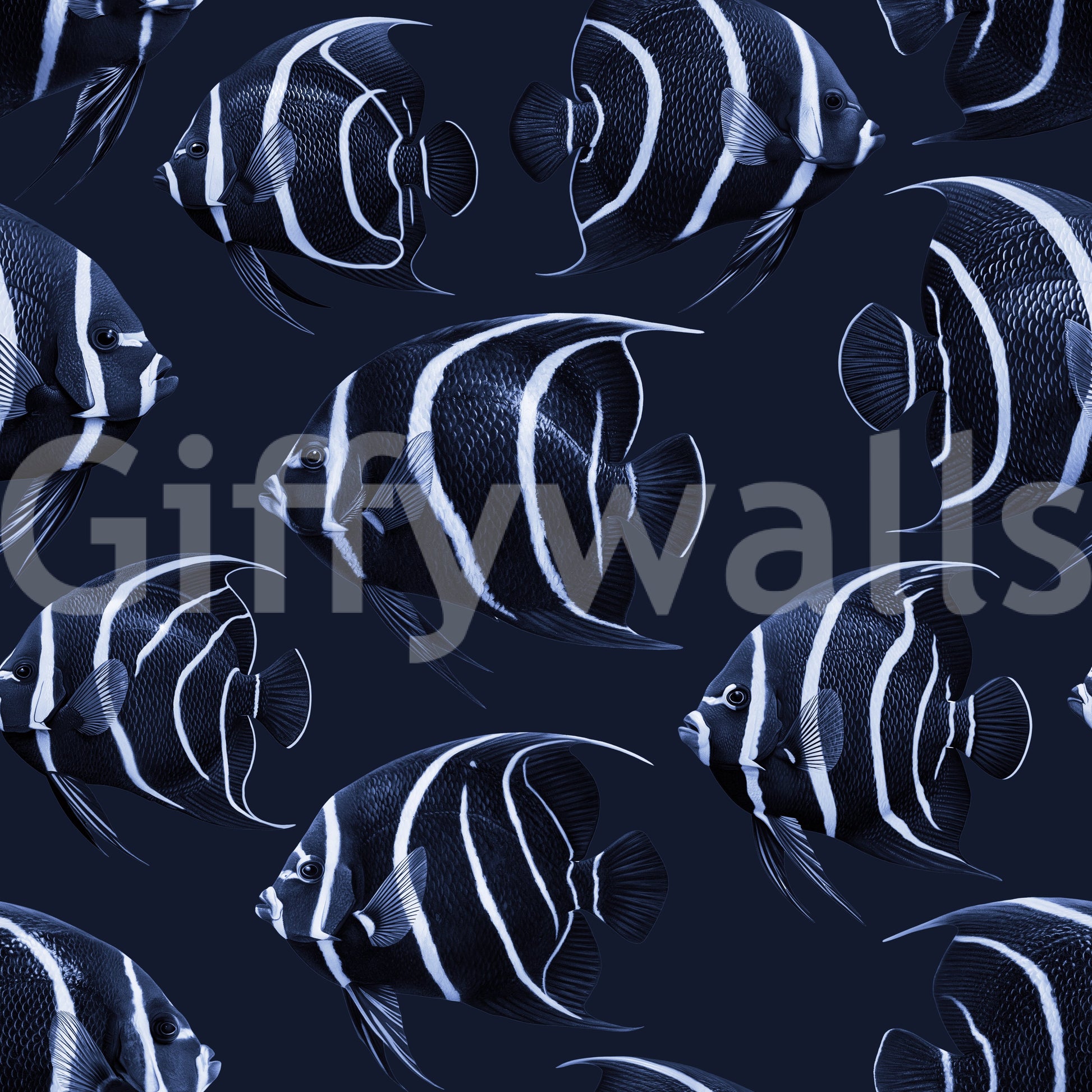 Angel The Fish Wallpaper⁠