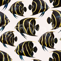Angel The Fish 01 Wallpaper⁠