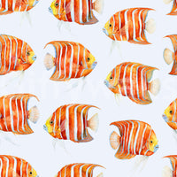 Karli The Fish 02 Wallpaper⁠