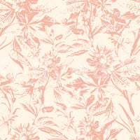 Close-up of the soft blush botanical sketch wallpaper pattern GD12217
