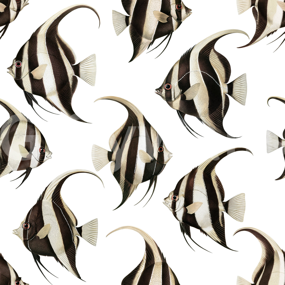 Black and white angelfish wallpaper pattern detail GD12274