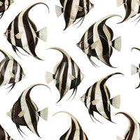 Black and white angelfish wallpaper pattern detail GD12274