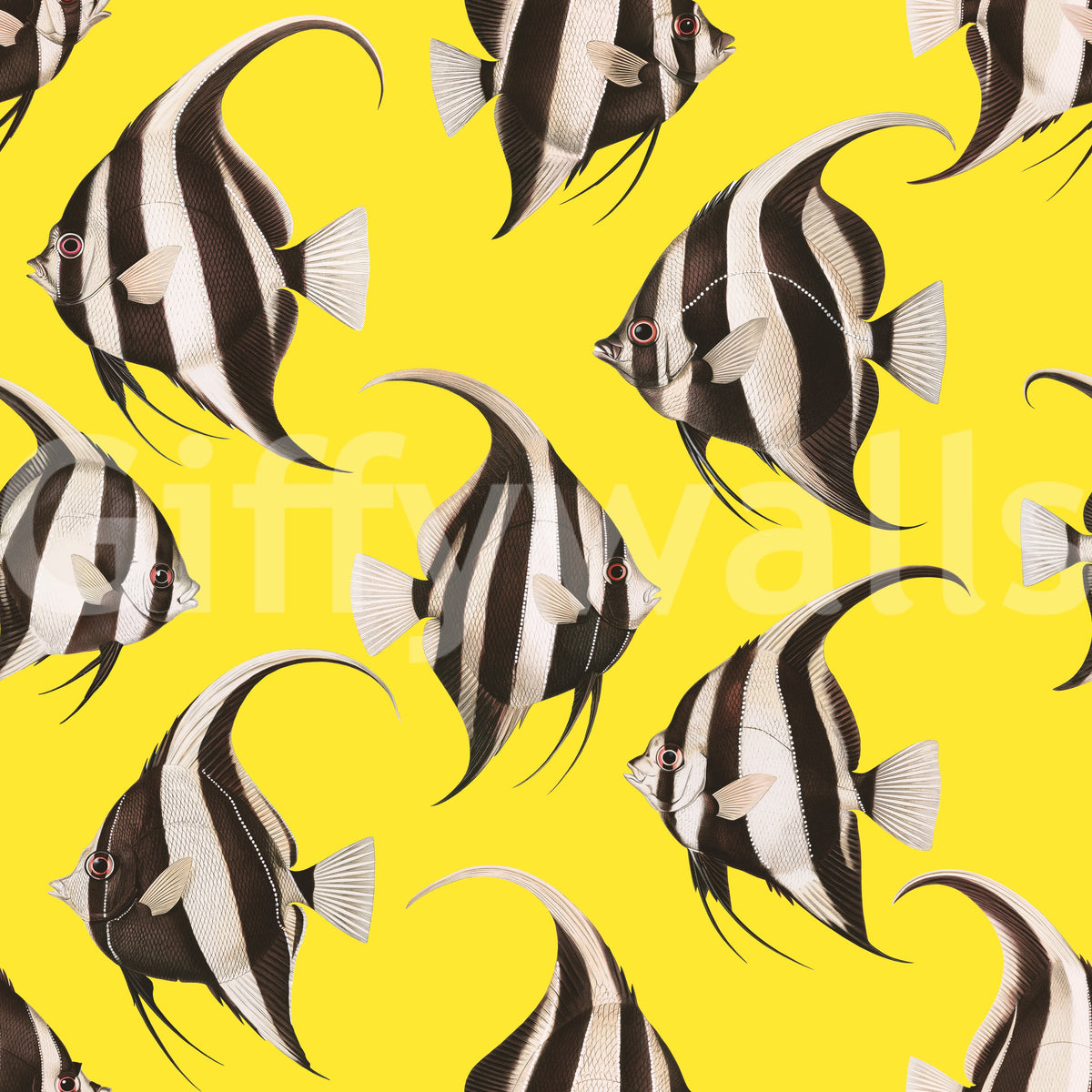 Black and cream angelfish on yellow wallpaper pattern detail GD12276