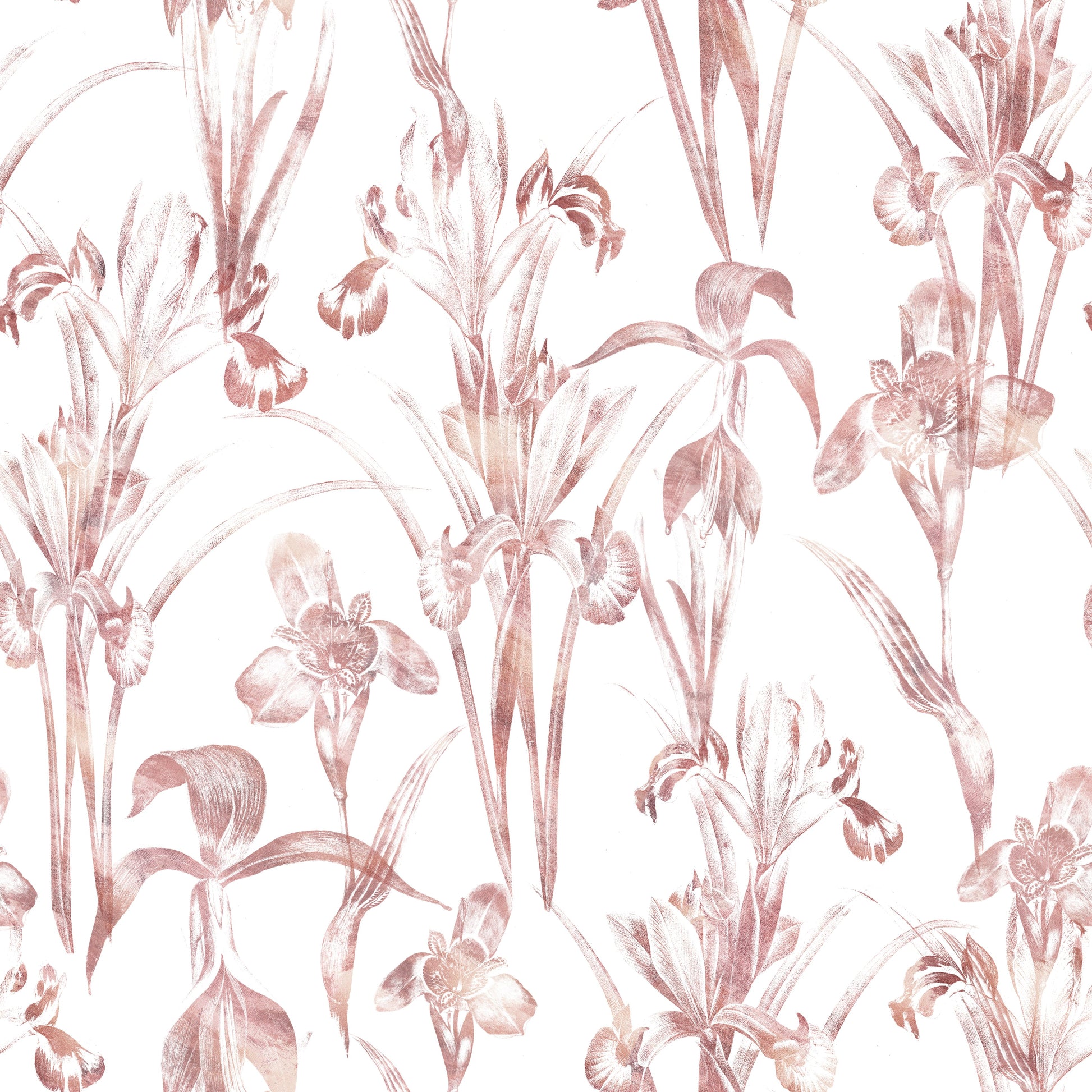 Ethereal Blush Iris Garden Wallpaper⁠