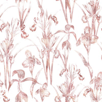 Ethereal Blush Iris Garden Wallpaper⁠