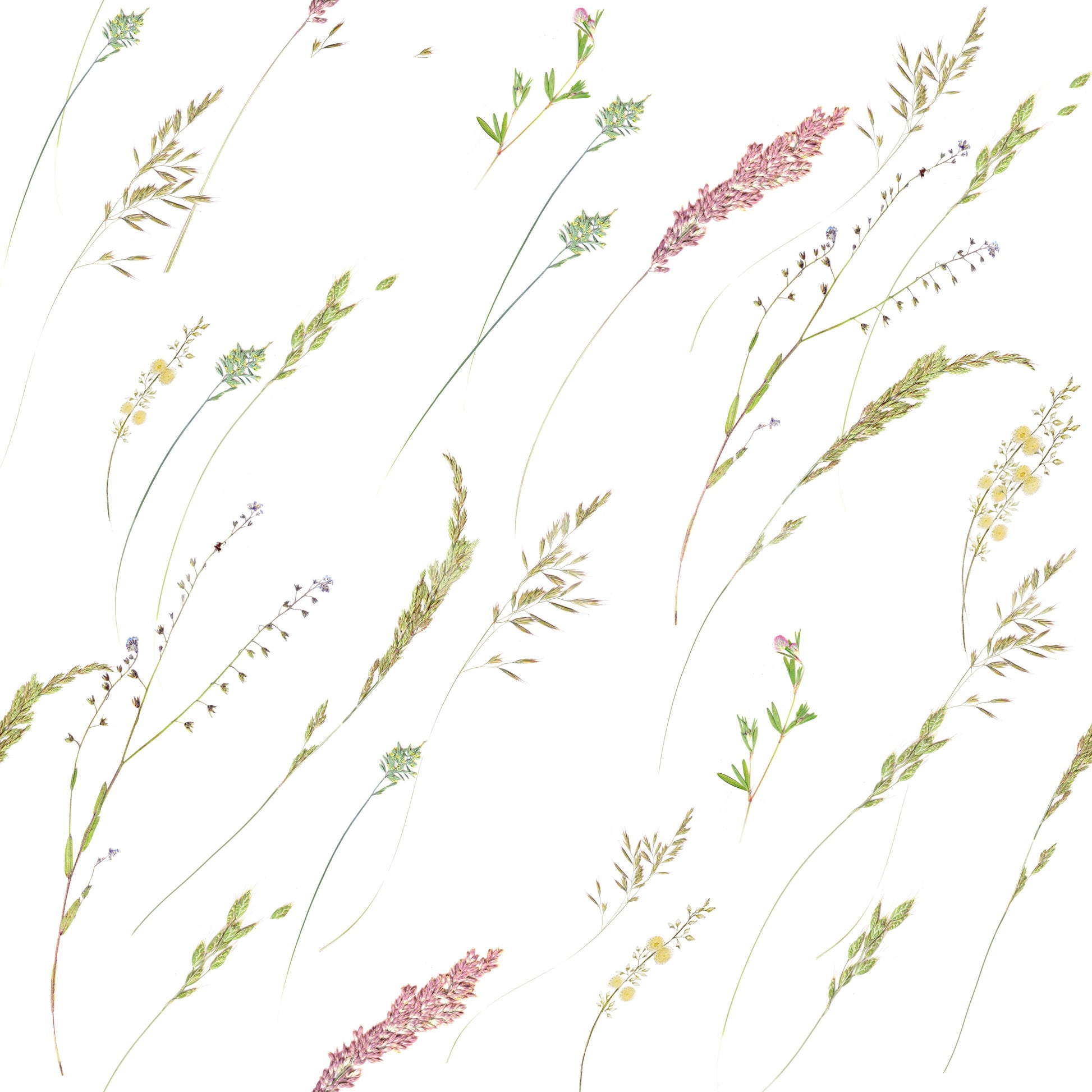 Rustic Meadow Sprigs Wallpaper⁠
