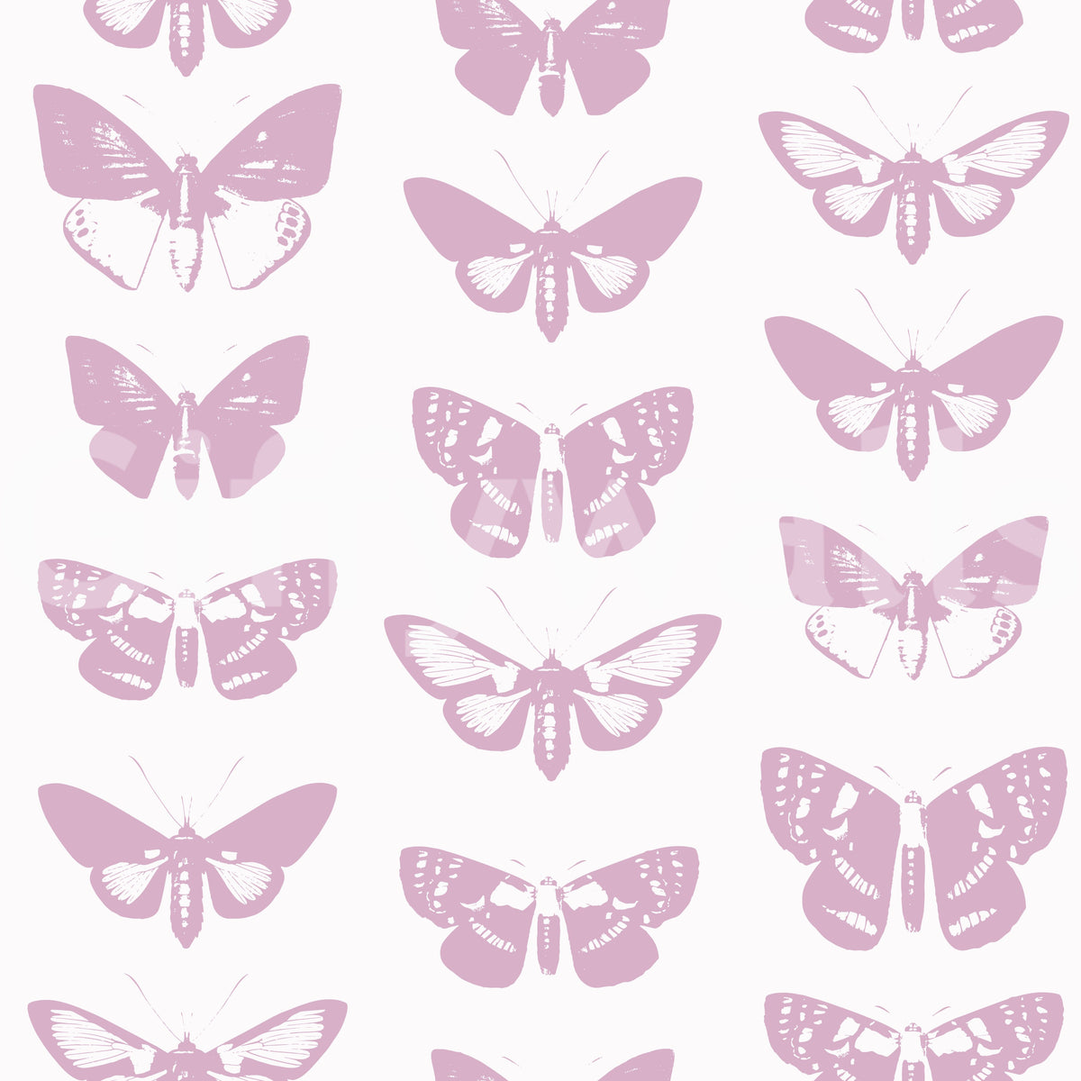 Soft pink moth and butterfly wallpaper pattern swatch GD12294