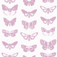 Soft pink moth and butterfly wallpaper pattern swatch GD12294