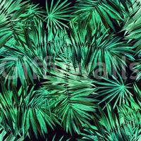 Verdant Tropical Palm Canopy Wallpaper⁠