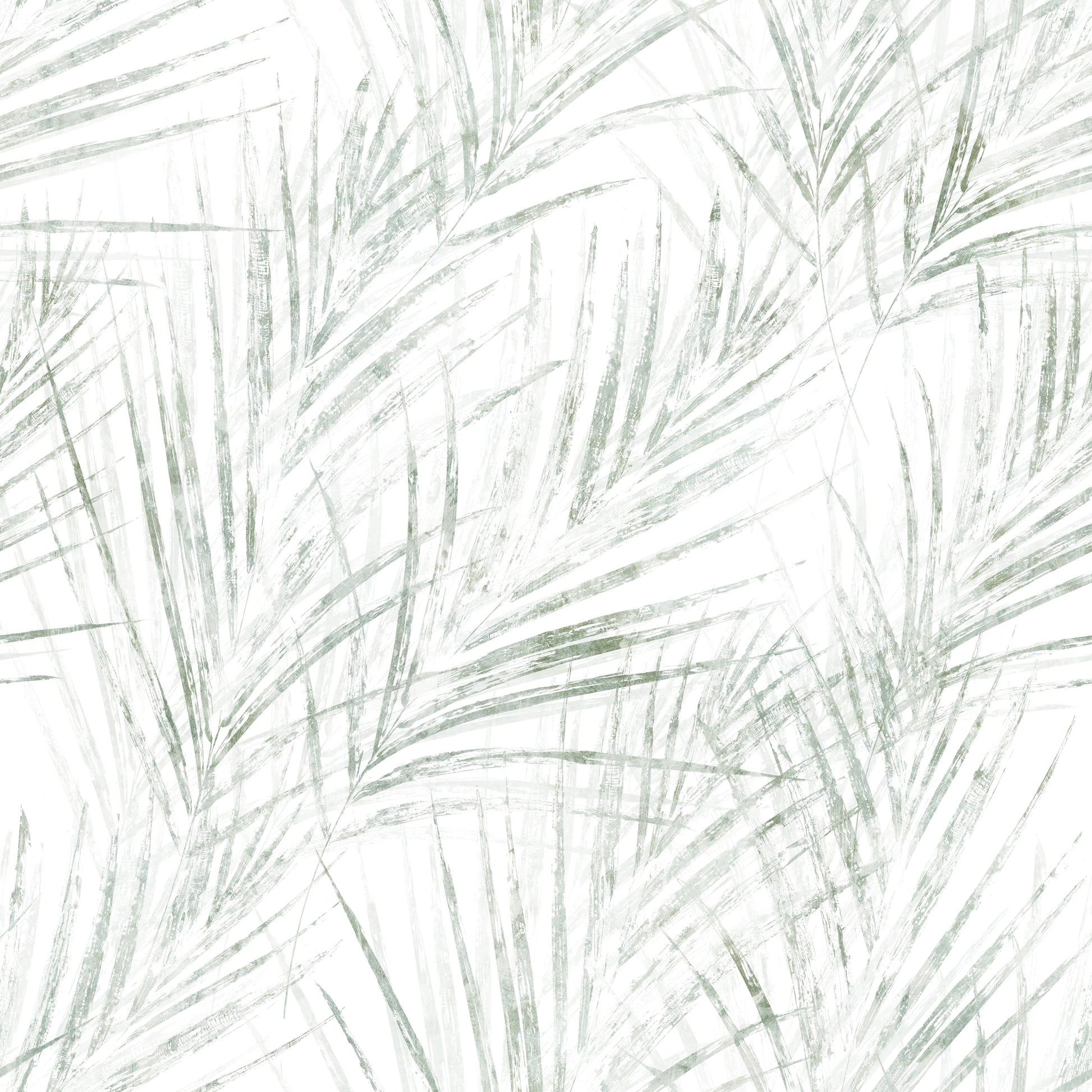 Sage Palm Botanical Sketch Wallpaper⁠