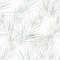 Sage Palm Botanical Sketch Wallpaper⁠