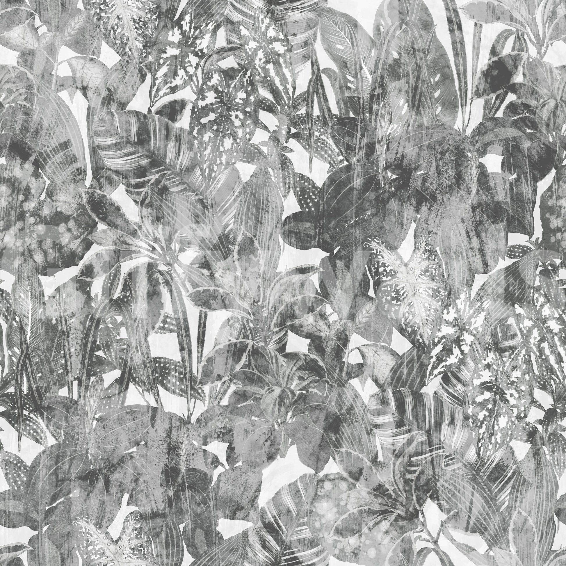 Monochrome Jungle Foliage Wallpaper⁠