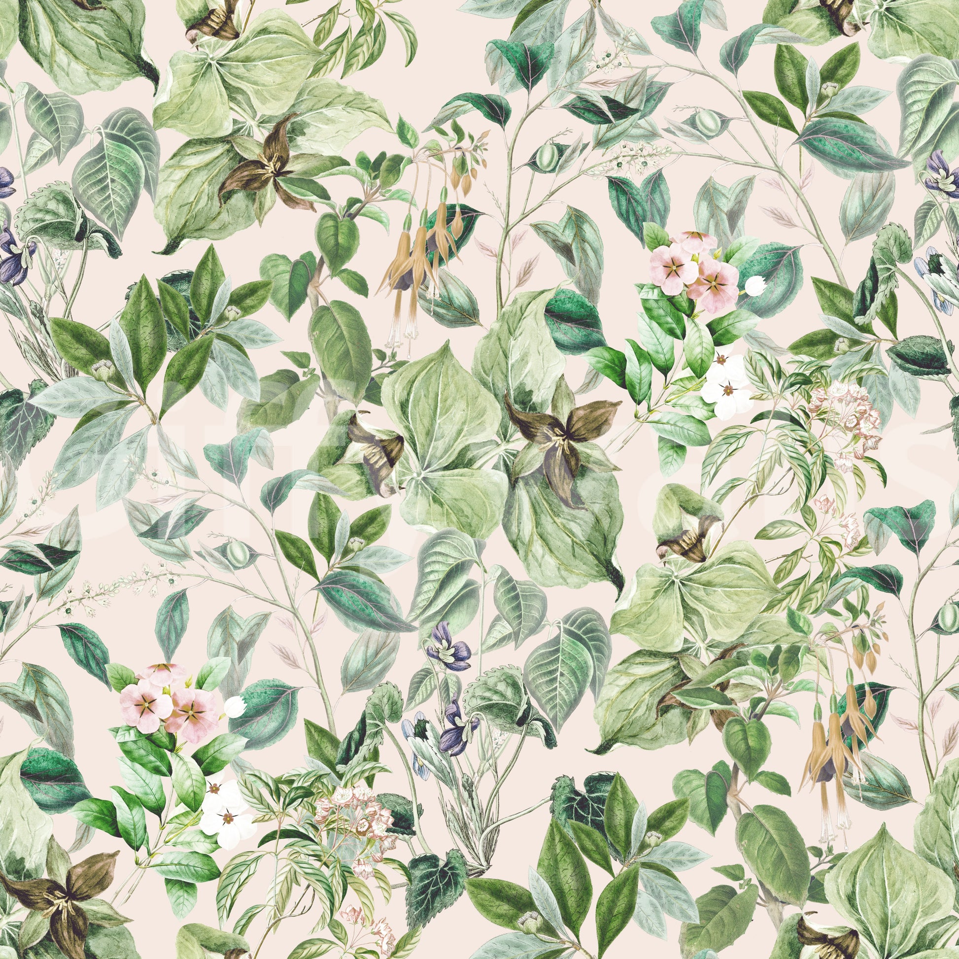 Soft Sage Floral Meadow Wallpaper⁠