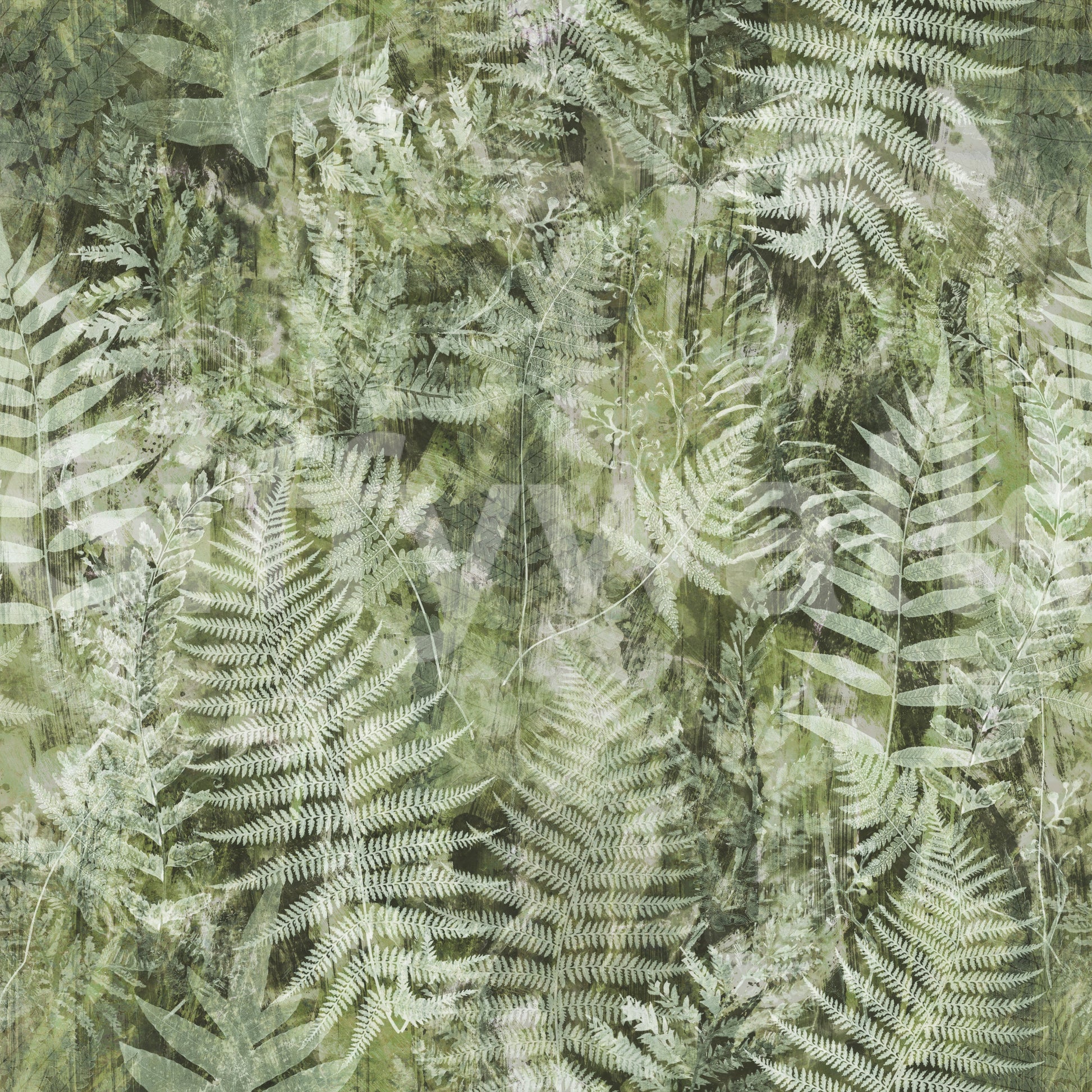 Forest Fern Botanical Print Wallpaper⁠