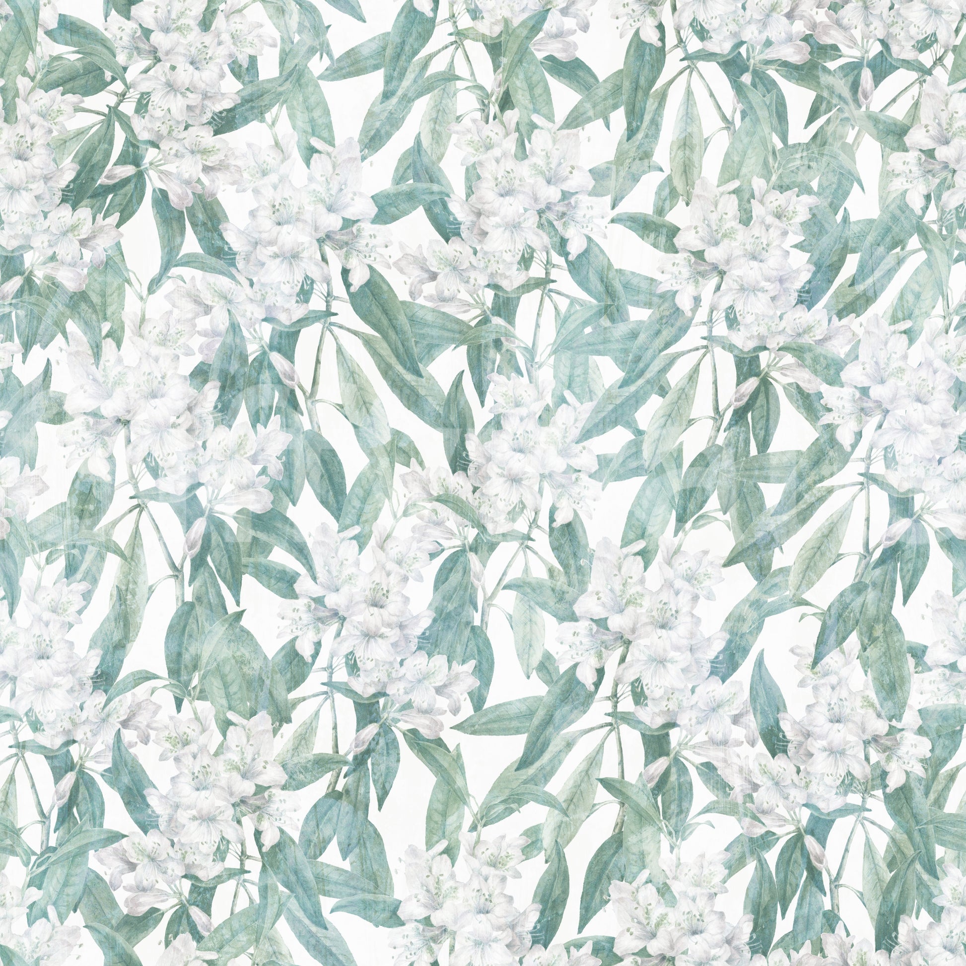Minimalist Garden Leaf Trail Wallpaper⁠