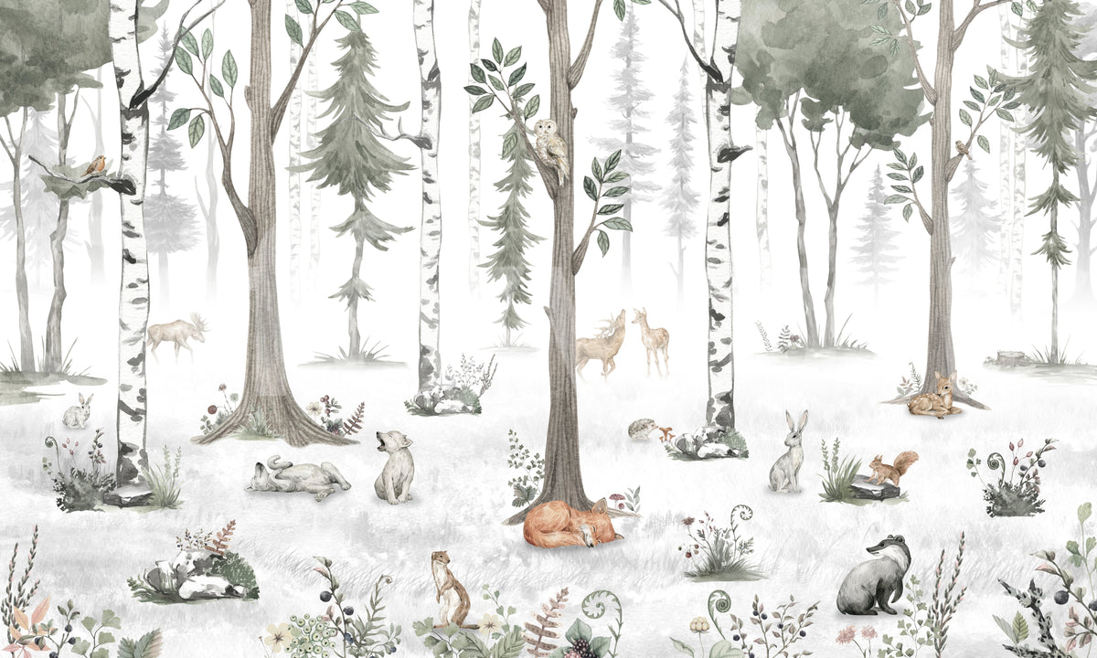 Close up of the woodland animals among misty birch trees GD12401