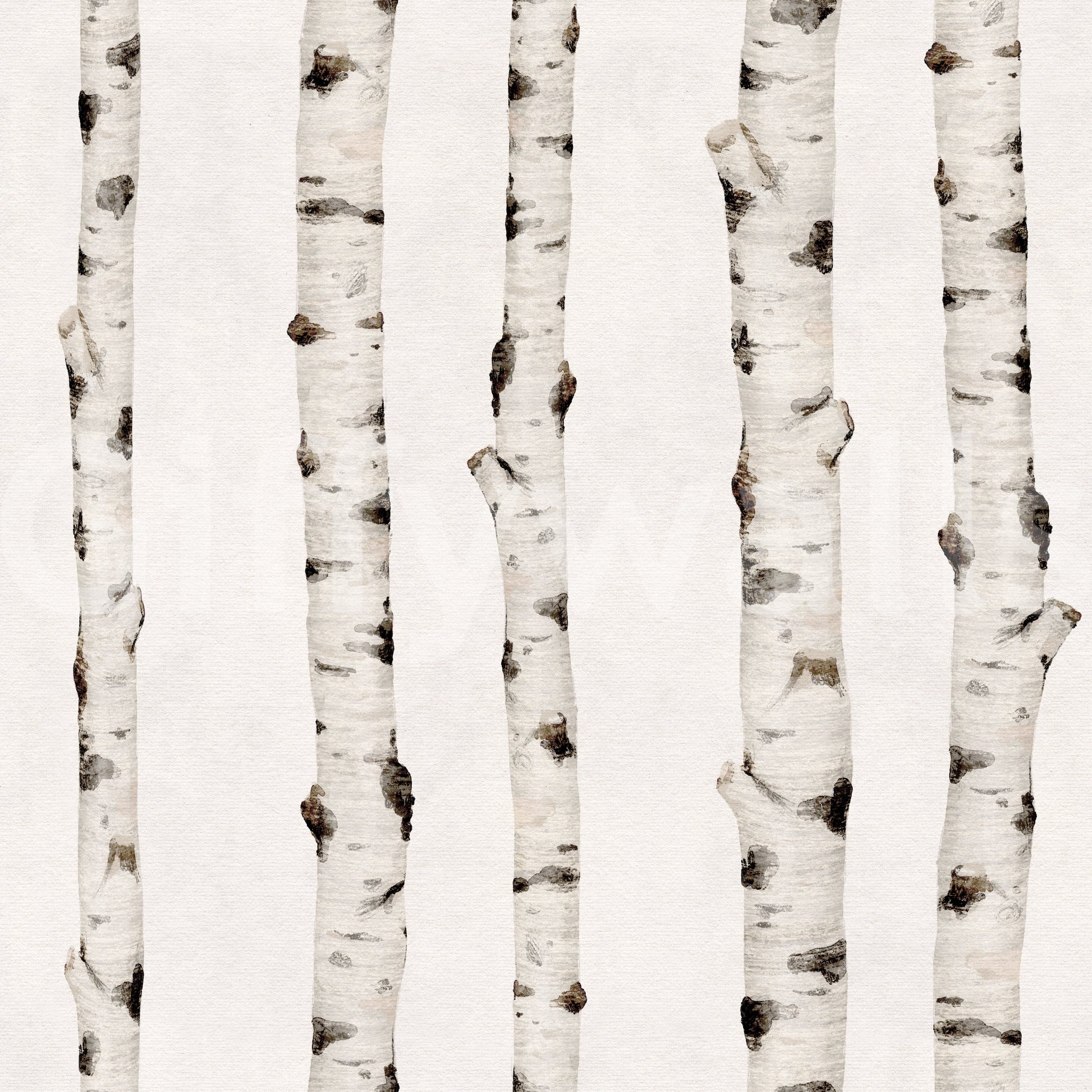 Rustic Birch Forest Vertical Trunks Wallpaper⁠