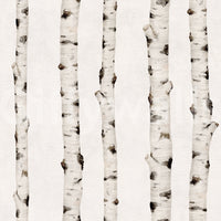 Rustic Birch Forest Vertical Trunks Wallpaper⁠