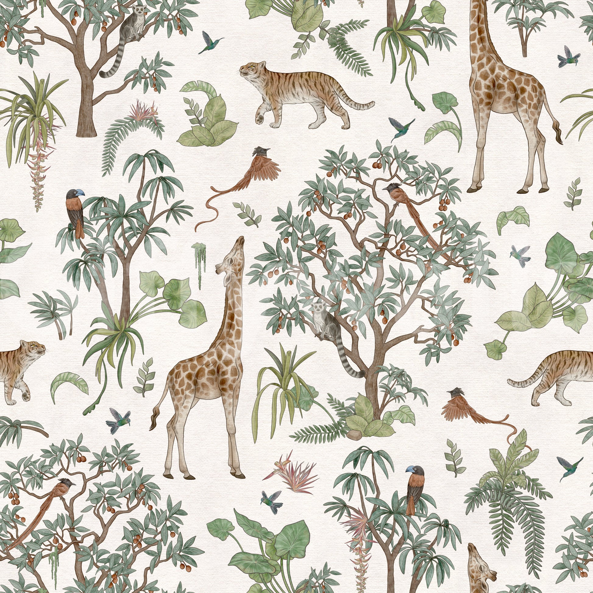 Exotic Wildlife Forest Trail Wallpaper⁠