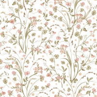 Meadow Wildflower Botanical Illustration Wallpaper⁠