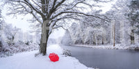 Frozen Canal Winter Wonderland Wall Mural