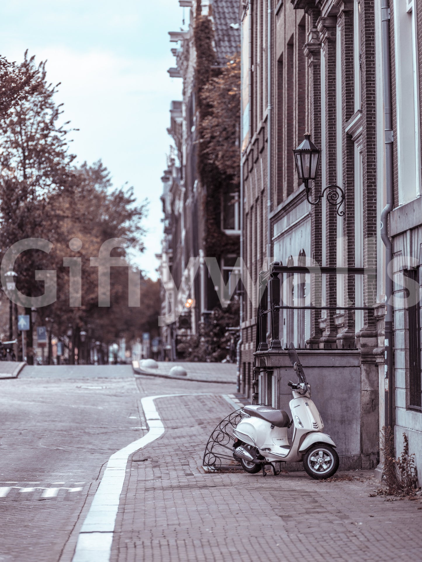 Quiet City Cobblestone Lane Wall Mural