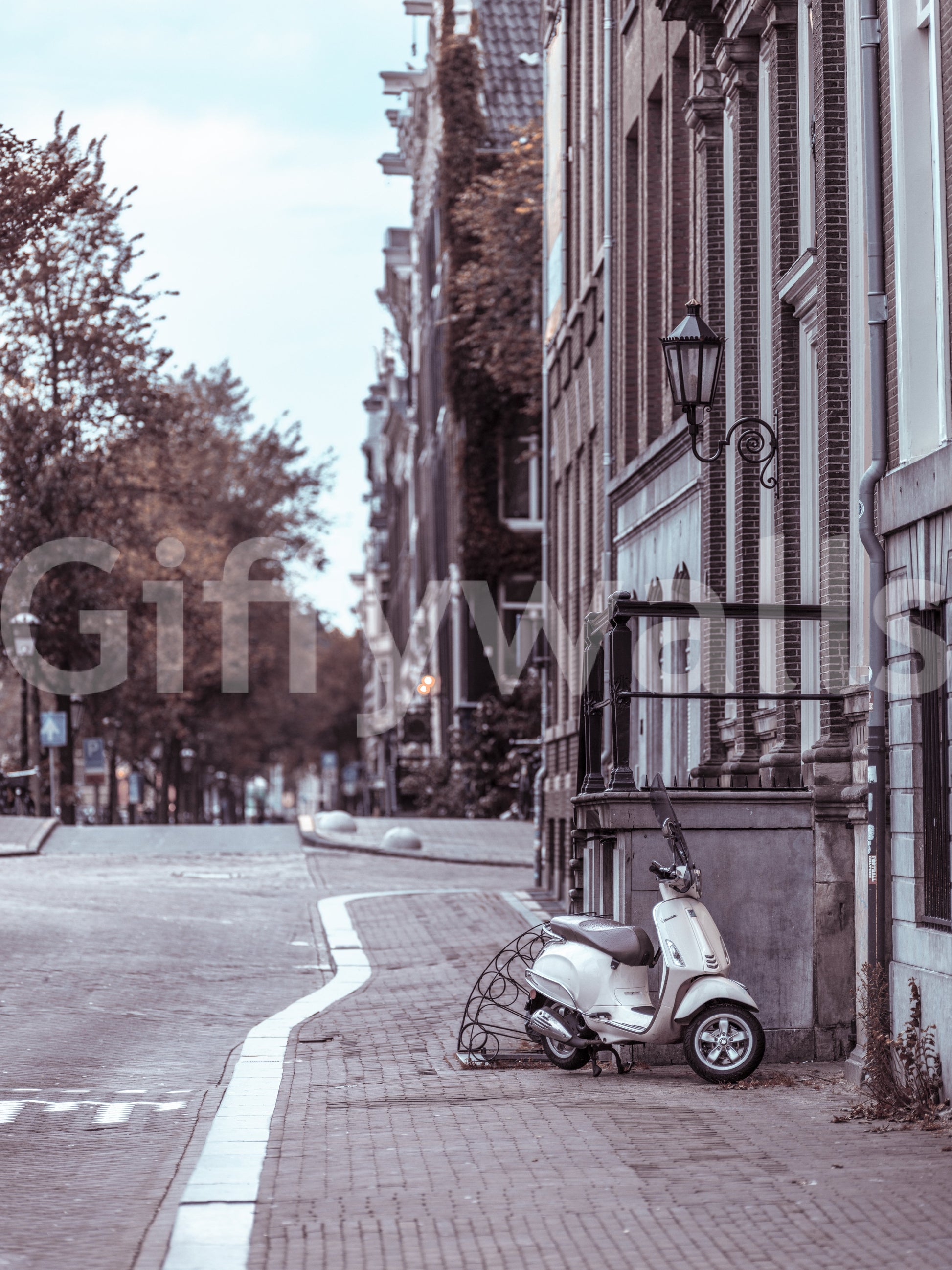 Quiet City Cobblestone Lane Wall Mural