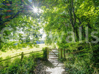Rustic Woodland Gate Entrance Wall Mural