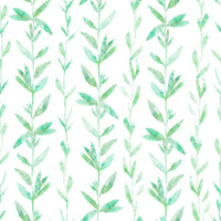 Watercolor Vertical Fern Vine Trail Wallpaper⁠