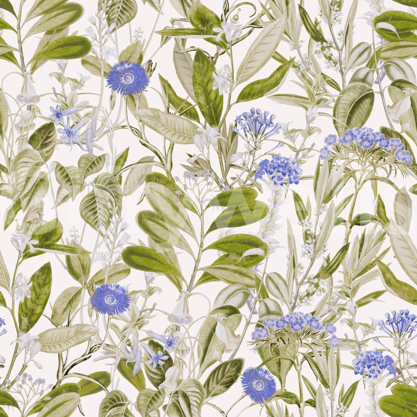 Serene Meadow Blue Floral Study Wallpaper⁠