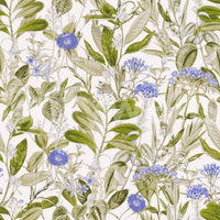 Serene Meadow Blue Floral Study Wallpaper⁠