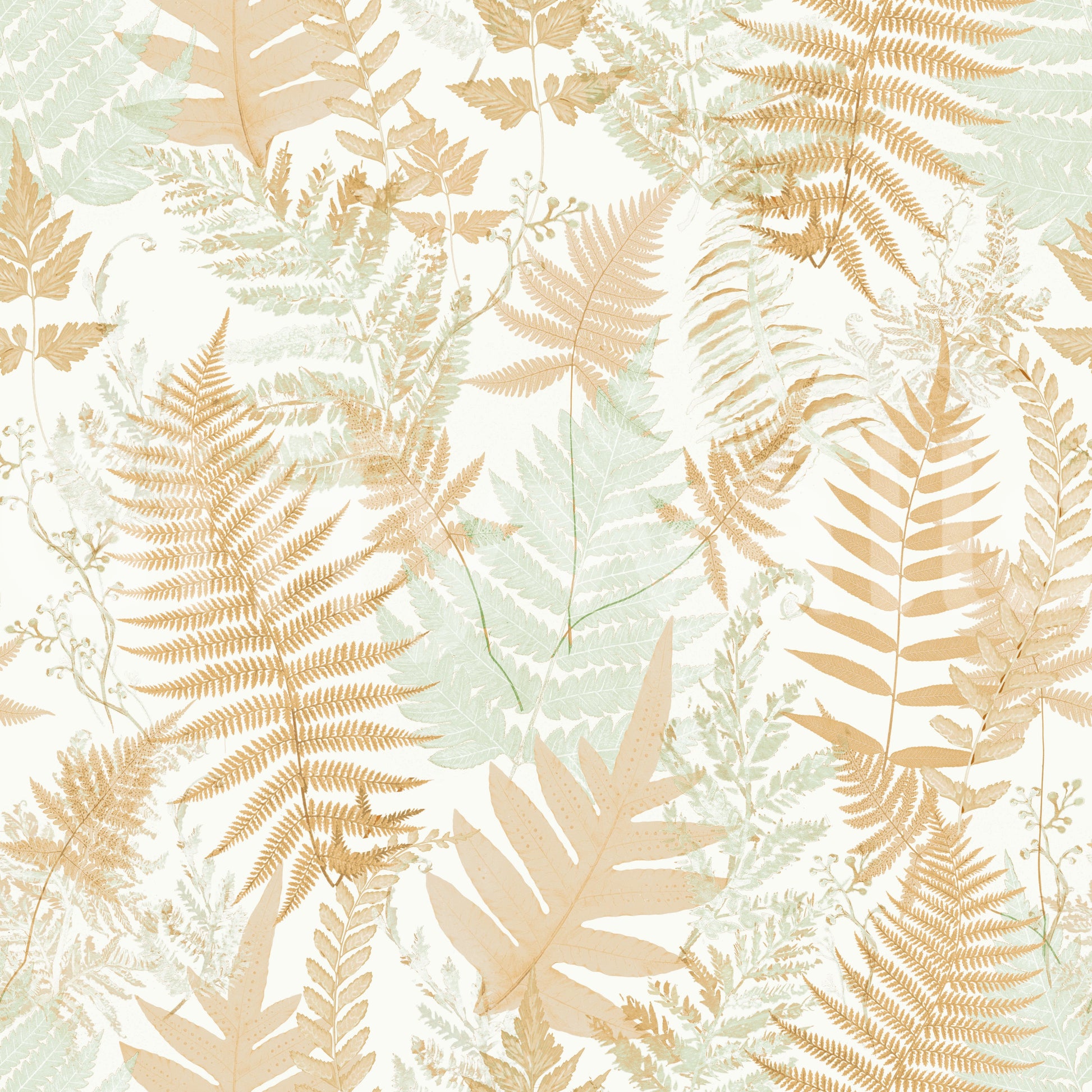 Sun-Drenched Woodland Ferns Wallpaper⁠