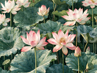 Serene Lotus Pond Botanical Illustration Wall Mural
