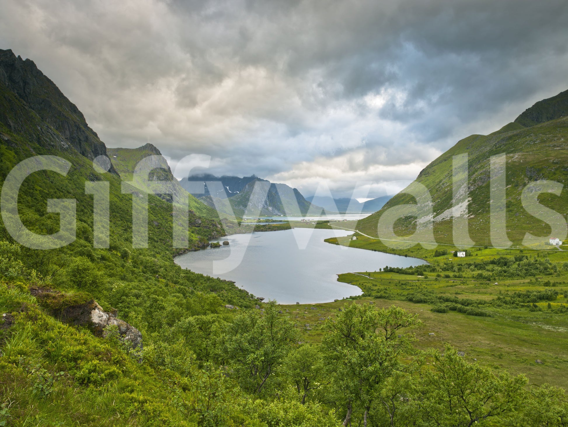Alpine Lake and Valley Horizon Wall Mural