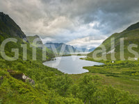 Alpine Lake and Valley Horizon Wall Mural