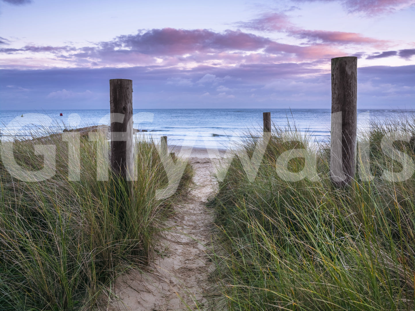 Coastal Grasses and Seascape Wall Mural