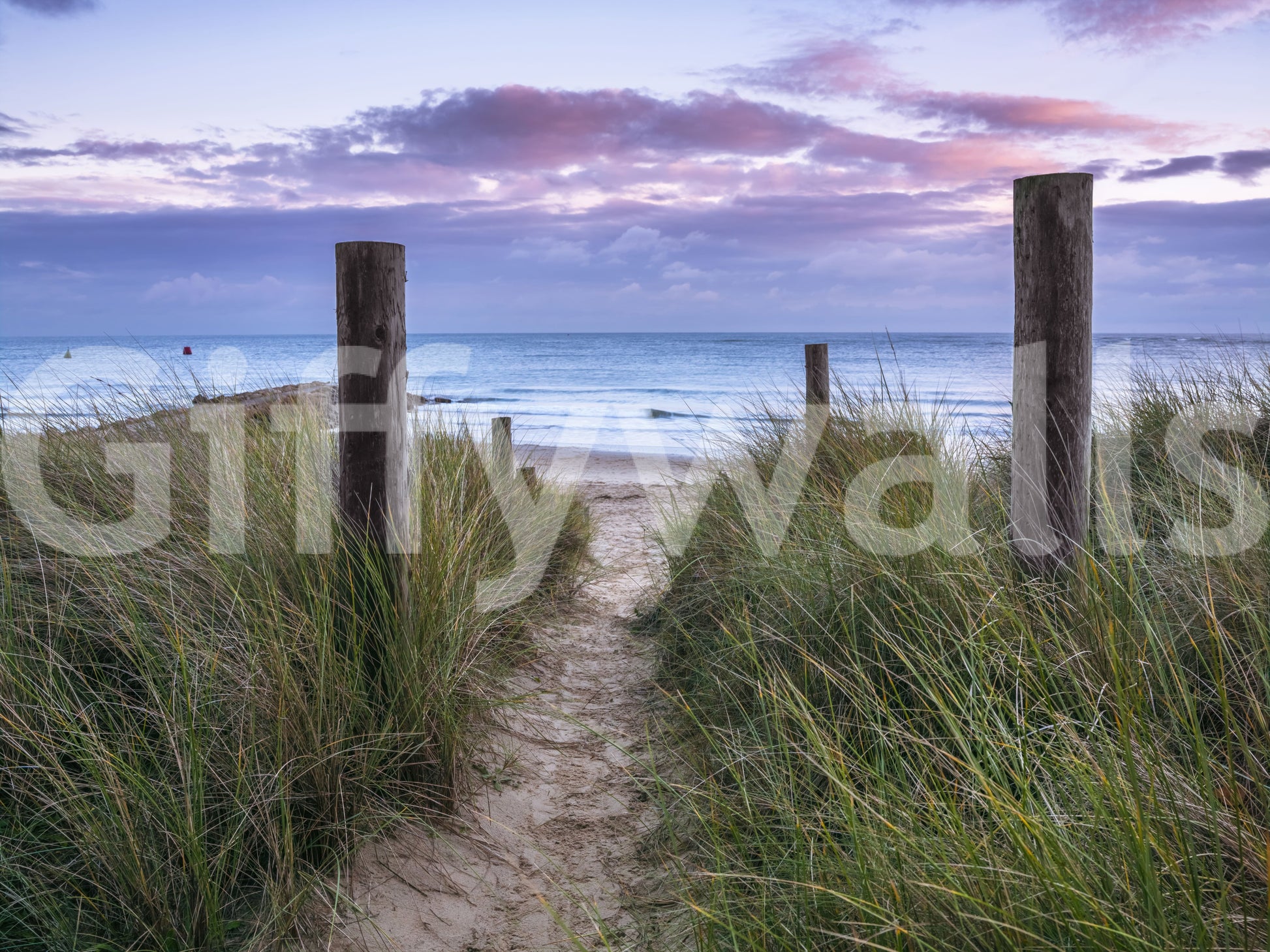 Coastal Grasses and Seascape Wall Mural