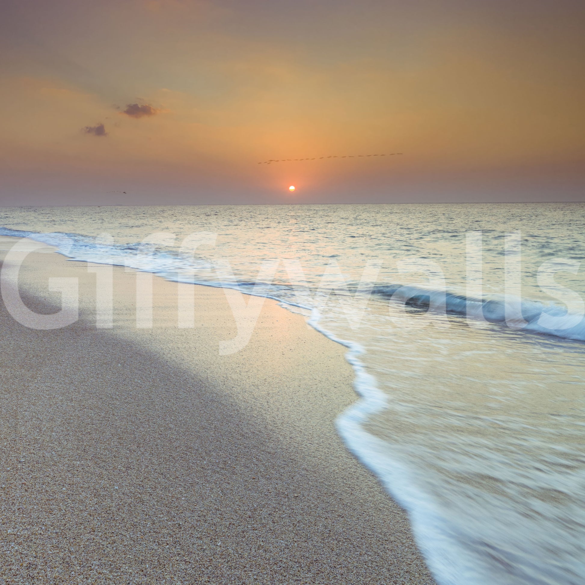 Golden Hour Coastal Hour Wall Mural