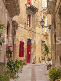 Rustic European Stone Streetscape Wall Mural